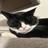 matthews-website.pages.dev favicon